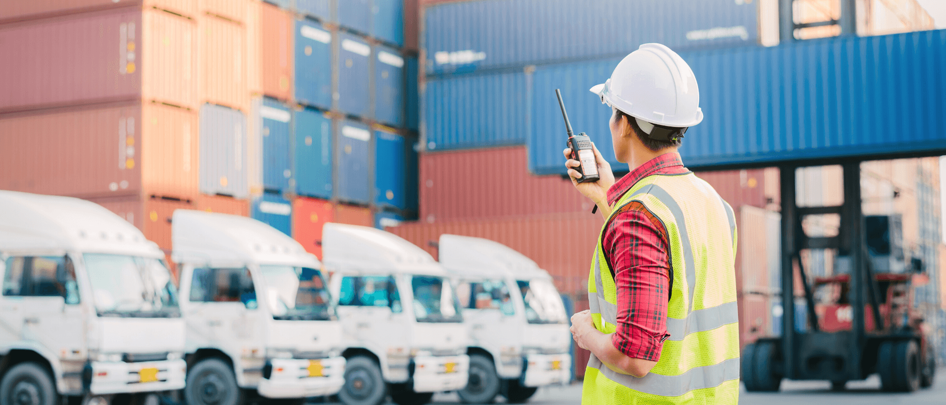 Distributor Customer